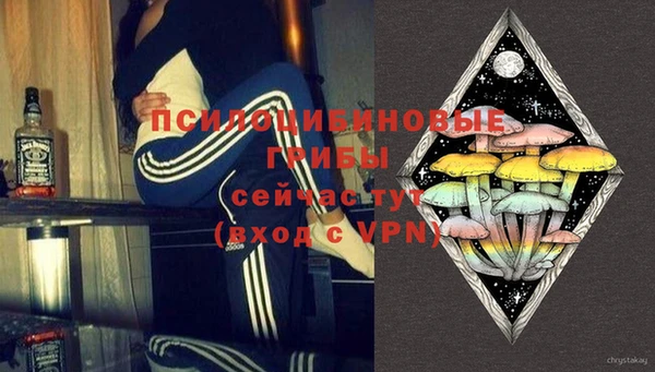 не бодяженный Арсеньев