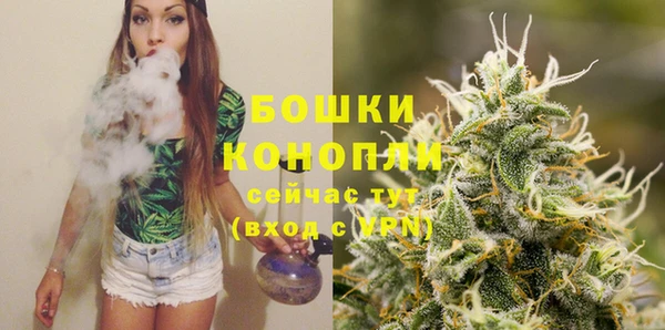 бошки Аркадак