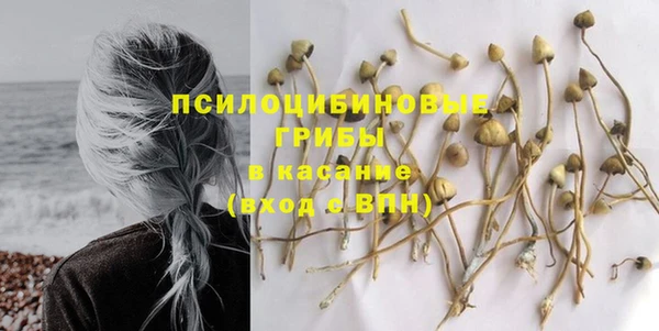 дмт Армянск