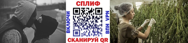 Бошки Шишки OG Kush  наркошоп  Клин 
